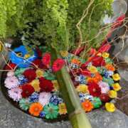 ヒメ日記 2026/02/02 23:24 投稿 野々村 ローズマリー大塚