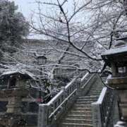 ヒメ日記 2026/02/08 19:44 投稿 野々村 ローズマリー大塚