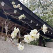 野々村 咲いてる♡ ローズマリー大塚