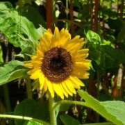 ヒメ日記 2025/08/30 18:34 投稿 仲村 ローズマリー大塚