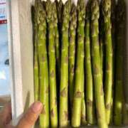 ヒメ日記 2025/05/26 01:04 投稿 有賀 ローズマリー大塚