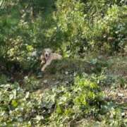 ヒメ日記 2025/10/29 23:04 投稿 有賀 ローズマリー大塚