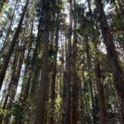 有賀 おはよ〜 ローズマリー大塚