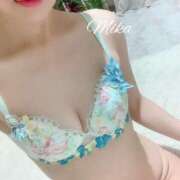 ヒメ日記 2024/12/30 17:45 投稿 みか 五反田人妻ヒットパレード（シンデレラグループ）