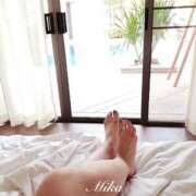 ヒメ日記 2025/02/27 09:51 投稿 みか 五反田人妻ヒットパレード（シンデレラグループ）