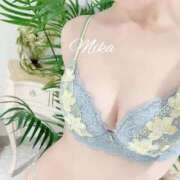 ヒメ日記 2025/11/29 12:18 投稿 みか 五反田人妻ヒットパレード（シンデレラグループ）