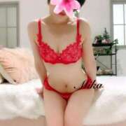 ヒメ日記 2026/03/31 17:01 投稿 みか 五反田人妻ヒットパレード（シンデレラグループ）