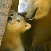 ヒメ日記 2024/12/16 20:17 投稿 彩芽-あやめ 熟女10000円デリヘル横浜