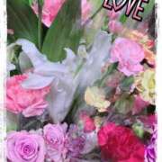 ヒメ日記 2025/04/14 23:12 投稿 しゅり エマニエル