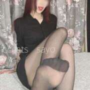 ヒメ日記 2024/12/12 14:06 投稿 さよ C.C.CATS