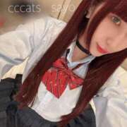 ヒメ日記 2024/12/17 22:06 投稿 さよ C.C.CATS