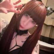 ヒメ日記 2024/12/25 21:46 投稿 さよ C.C.CATS