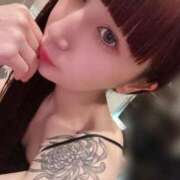 ヒメ日記 2025/01/26 18:45 投稿 さよ C.C.CATS