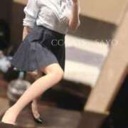 ヒメ日記 2025/01/31 12:05 投稿 さよ C.C.CATS