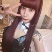 ヒメ日記 2025/03/08 11:47 投稿 さよ C.C.CATS