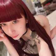 ヒメ日記 2025/04/28 00:06 投稿 さよ C.C.CATS