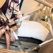 ヒメ日記 2025/11/13 23:02 投稿 さよ C.C.CATS