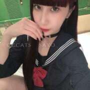 ヒメ日記 2025/12/04 23:22 投稿 さよ C.C.CATS