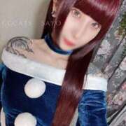 ヒメ日記 2025/12/24 12:22 投稿 さよ C.C.CATS