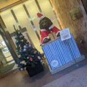 ヒメ日記 2024/12/23 23:02 投稿 ありす チューリップ仙台店