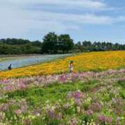 ヒメ日記 2025/06/27 09:23 投稿 こころ VIP