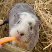 ヒメ日記 2025/07/07 12:05 投稿 こころ VIP