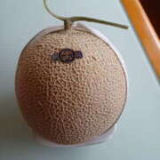 ヒメ日記 2025/06/14 11:10 投稿 速水ゆうき 五十路マダム 新潟店(カサブランカグループ)