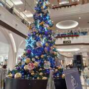 ヒメ日記 2025/12/24 10:38 投稿 速水ゆうき 五十路マダム 新潟店(カサブランカグループ)