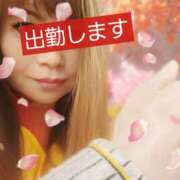 ヒメ日記 2025/04/03 13:29 投稿 つばきはら 藤沢人妻城