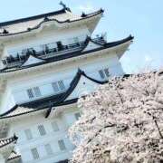 ヒメ日記 2025/04/10 09:47 投稿 つばきはら 藤沢人妻城