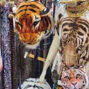 ヒメ日記 2025/09/03 10:09 投稿 つばきはら 藤沢人妻城