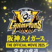 ヒメ日記 2025/12/01 11:35 投稿 つばきはら 藤沢人妻城