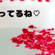 ヒメ日記 2025/01/09 16:04 投稿 清川音寧（きよかわおとね） 五十路マダム 滋賀店(カサブランカグループ)