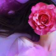 ヒメ日記 2025/03/20 16:34 投稿 清川音寧（きよかわおとね） 五十路マダム 滋賀店(カサブランカグループ)