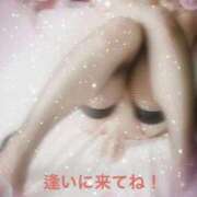 ヒメ日記 2025/03/22 08:40 投稿 清川音寧（きよかわおとね） 五十路マダム 滋賀店(カサブランカグループ)