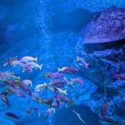 ヒメ日記 2025/05/26 14:33 投稿 そら 西川口こんにちわいふ（シンデレラグループ）