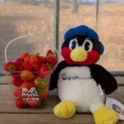 ヒメ日記 2026/03/16 20:32 投稿 そら 西川口こんにちわいふ（シンデレラグループ）