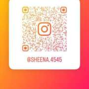 ヒメ日記 2026/04/08 05:00 投稿 Sheena 五反田M性感フェチ倶楽部 マスカレード