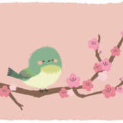 ヒメ日記 2025/03/02 10:21 投稿 あまの 熟女の風俗最終章 宇都宮店