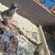 ヒメ日記 2025/02/07 14:25 投稿 かな ぷるるん小町日本橋店