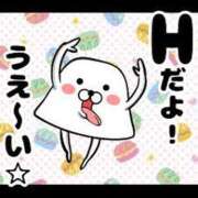 ヒメ日記 2026/08/14 11:01 投稿 ドリー ブロンドワールド