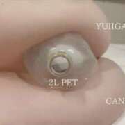 ヒメ日記 2026/01/09 22:20 投稿 五十嵐ゆい きゃんでぃドロップス