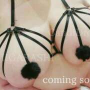 ヒメ日記 2026/02/16 23:50 投稿 五十嵐ゆい きゃんでぃドロップス