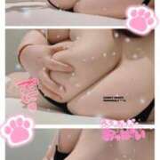 ヒメ日記 2025/04/12 14:13 投稿 ももか きゃんでぃドロップス