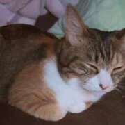 ヒメ日記 2025/09/12 04:51 投稿 ももか きゃんでぃドロップス