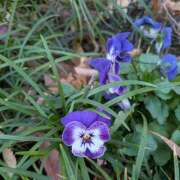 ヒメ日記 2025/12/08 16:30 投稿 そら 綺麗なお姉様専門　新横浜リング4C（アンジェリークグループ）