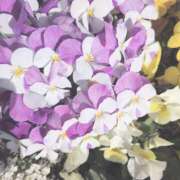 そら 寒の戻り 綺麗なお姉様専門　新横浜リング4C（アンジェリークグループ）