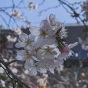 ヒメ日記 2026/03/11 16:01 投稿 そら 綺麗なお姉様専門　新横浜リング4C（アンジェリークグループ）