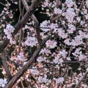 ヒメ日記 2026/03/28 16:30 投稿 そら 綺麗なお姉様専門　新横浜リング4C（アンジェリークグループ）