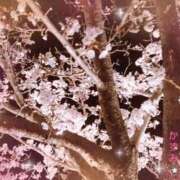 ヒメ日記 2025/04/11 15:49 投稿 かずみ 加古川10,000円ポッキー